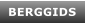 BERGGIDS